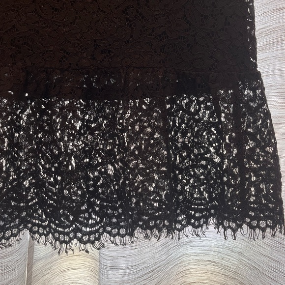 🛎️LAST CHANCE, 2/$10‼️🛎️Banana Republic lace skirt - Picture 2 of 6